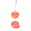 Raid Fruit Fly Trap - Effective Household Solution