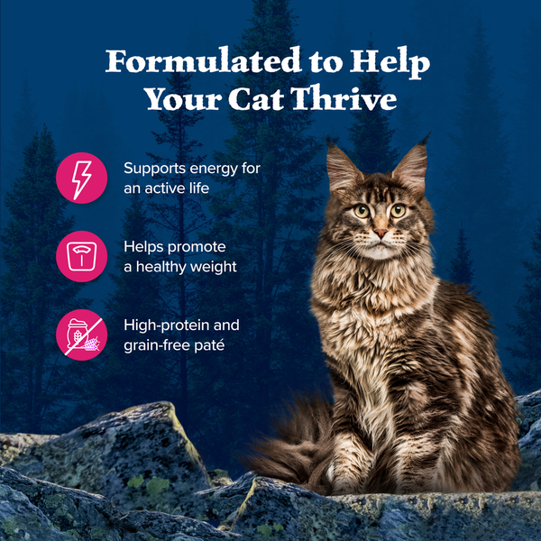 Blue Buffalo Wilderness High Protein Grain Free Wet Cat Food - Salmon