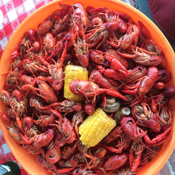 Bouillon Concentré de Crevettes et Crabes Zatarain's