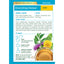 Traditional Medicinals Organic EveryDay Detox Lemon Herbal Tea