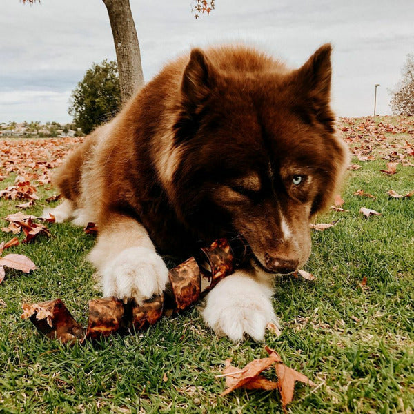 RedBarn Jumbo Twister Dog Treats