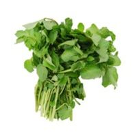 Berro Fresco - Verduras Crujientes y Sabrosas