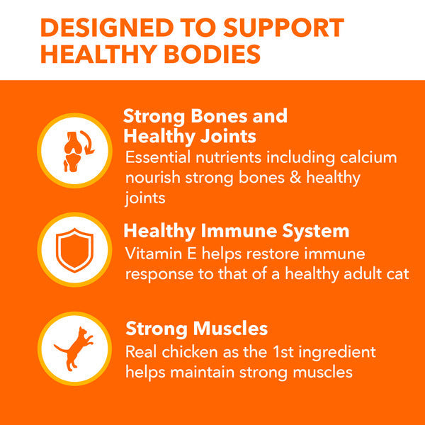 IAMS Proactive Health Healthy Senior Dry Cat Food - 3.5 lb