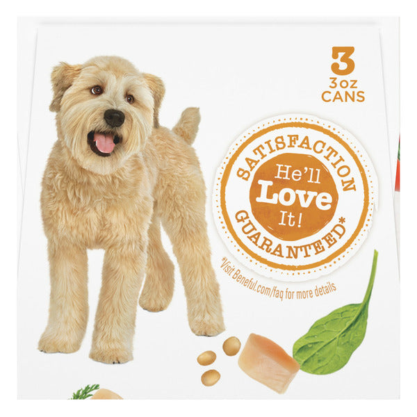 Purina Beneful Medleys Romana Style Wet Dog Food