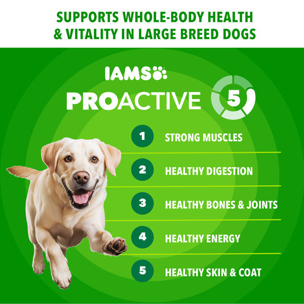 IAMS Proactive Health Large Breed Adult Dog Food - 30 lb. Bag