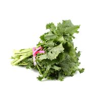 Premium Fresh Rapini (Rabe) - Vibrant and Nutritious