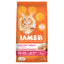 IAMS Proactive Health Adult Dry Cat Food con Salmón, 3.5 lb