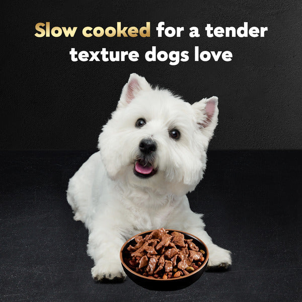 Cesar Filets en Sauce Paquet de Nourriture Humide pour Chiens