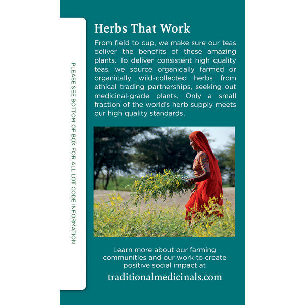 Thé Herbal Délice de Menthe Poivrée Bio - Sans Caféine