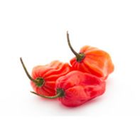 Piment Habanero Premium - Frais et Savoureux
