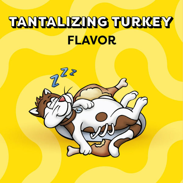 TEMPTATIONS Classic Crunchy and Soft Cat Treats - Turkey Flavor