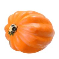 Organic Acorn Squash