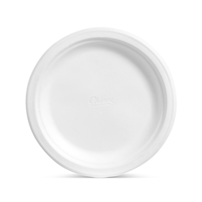 Assiettes à dîner Chinet Classic White, 10,375"