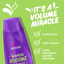 Shampoo Volume Miracle Aussie