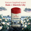 Desodorante Antitranspirante Old Spice para Hombres - Aroma Thunder