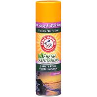 Arm & Hammer Fresh Scentsations Island Mist Carpet Freshener