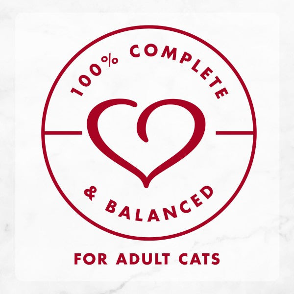 Purina Fancy Feast Medleys Saumon Sauvage Primavera pour Chats