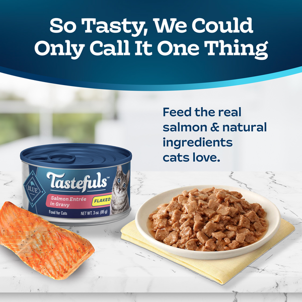 Blue Buffalo Tastefuls Nourriture Humide Naturelle Flocons pour Chats, Entrée au Saumon