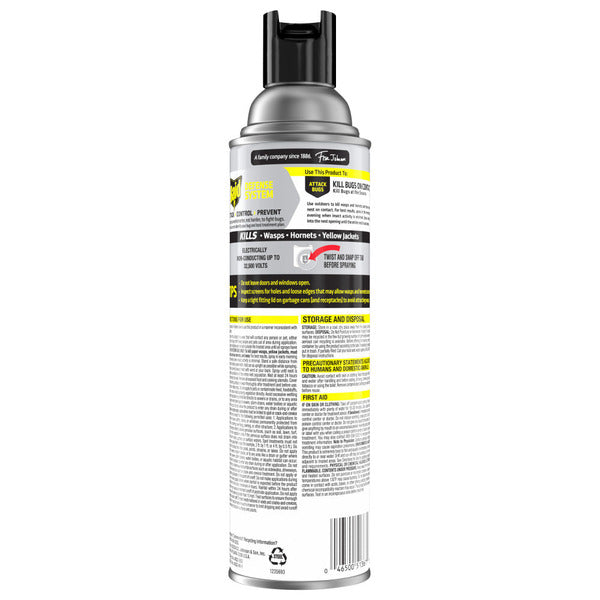 Raid Asesino de Avispas y Hornets - Spray Insecticida para Exteriores
