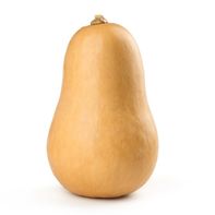 Calabaza Butternut Premium