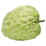 Premium Cherimoya - Exotic Fresh Fruit