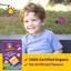 Annie's Organic Cheddar Squares Baked Crackers