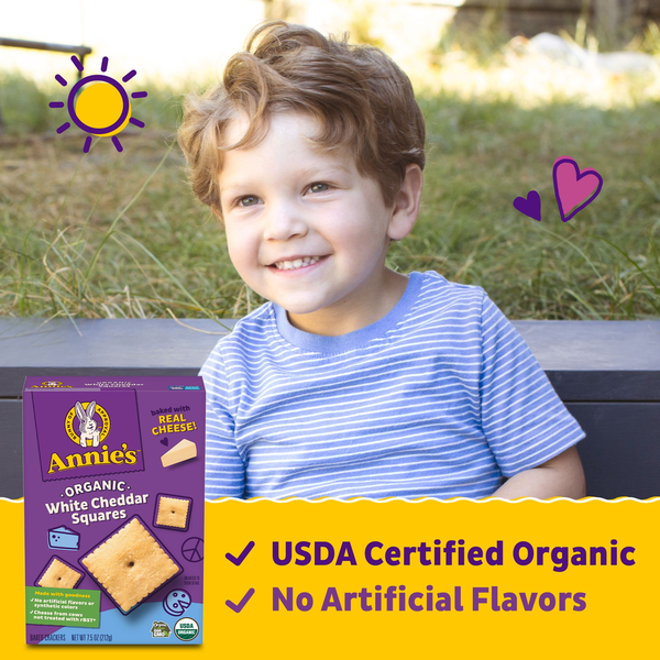 Annie's Organic Cheddar Squares Baked Crackers