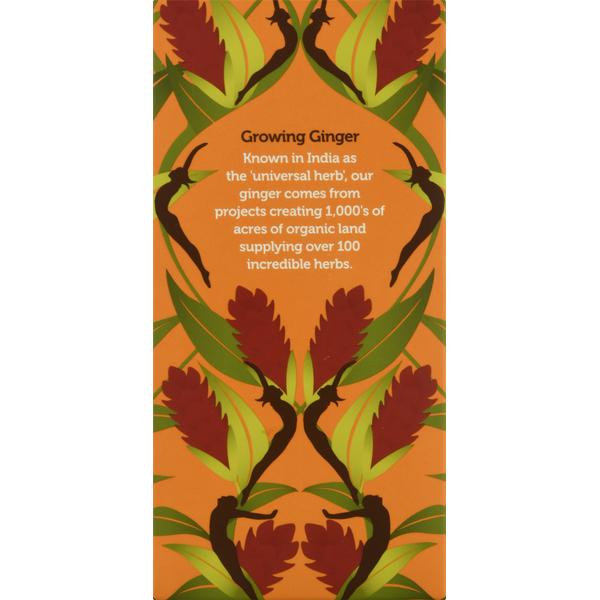 Pukka Thé Herbal Bio Trois Gingembre Sachets
