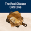 Blue Buffalo True Solutions Blissful Belly Croquettes pour Chats - Poulet