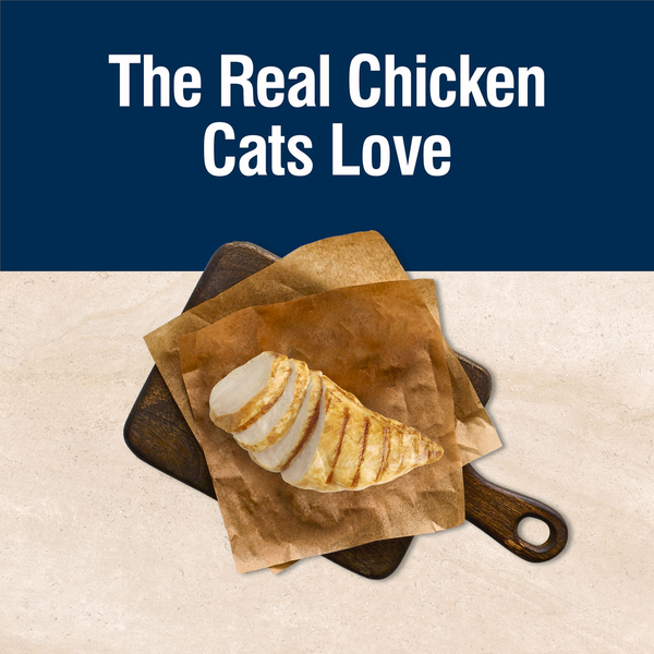 Blue Buffalo True Solutions Blissful Belly Croquettes pour Chats - Poulet