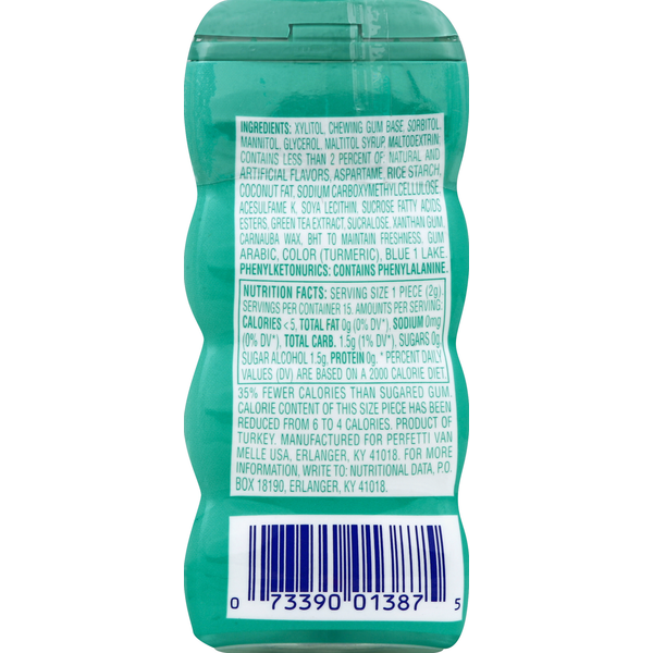Mentos Gum, Spearmint with Green Tea Extract