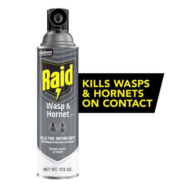 Raid Asesino de Avispas y Hornets - Spray Insecticida para Exteriores