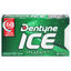 Dentyne Sugar Free Spearmint Gum