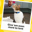 TEMPTATIONS Jumbo Stuff Crunchy Cat Treats - Saveur de Saumon Savoureux