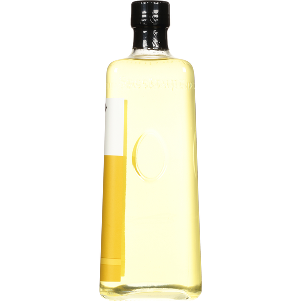 Huile de Canola Spectrum - Huile de Cuisine Premium