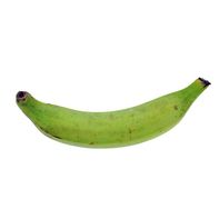 Premium Fresh Plantains