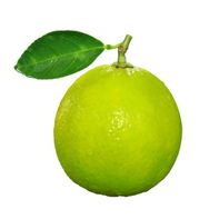 Premium Key Limes - Fresh and Zesty