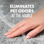 Arm & Hammer Carpet Odor Eliminator