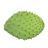 Premium Cactus Pear - Fresh and Flavorful