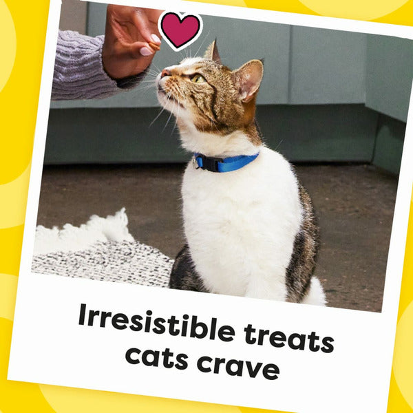 TEMPTATIONS Friandises Classiques Croquantes et Moelleuses pour Chats - Saveur Saumon Savoureux