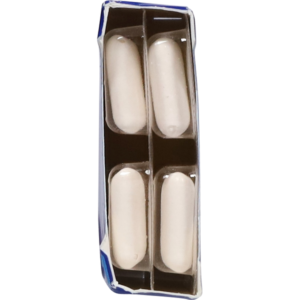 Gomme à mâcher Dentyne sans sucre goût menthe poivrée