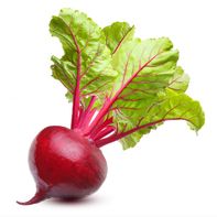 Premium Fresh Beets