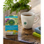 Traditional Medicinals Organic EveryDay Detox Lemon Herbal Tea