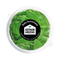 Laitue Beurre Bébé Gotham Greens