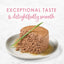 Purina Fancy Feast Pâté humide pour chaton sans céréales - Pack de variétés