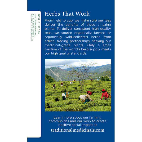 Té de hierbas orgánico Nighty Night de Traditional Medicinals