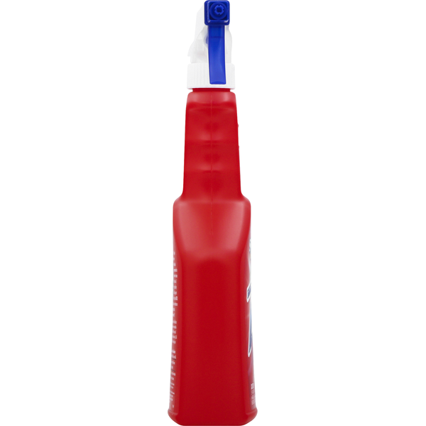 Zout Spray Quitamanchas para Lavandería