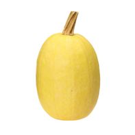 Calabaza Espagueti Orgánica