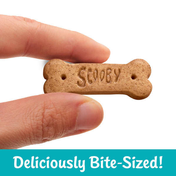 SCOOBY-DOO Cinnamon Baked Graham Cracker Sticks, 11 oz