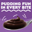 Jell-O Chocolate Fudge Pudding & Pie Filling Mix